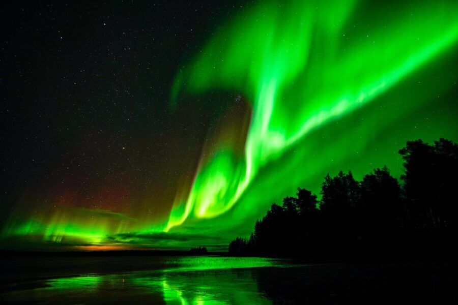 Rovaniemi: Guaranteed Northern Lights Hunting Adventure - Final Thoughts