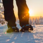 Rovaniemi: Guided Lappish Wilderness Snowshoeing Adventure - What You Need to Know Before Booking