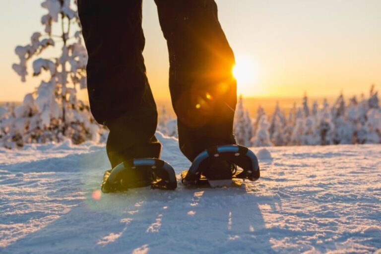 Rovaniemi: Guided Lappish Wilderness Snowshoeing Adventure - What You Need to Know Before Booking