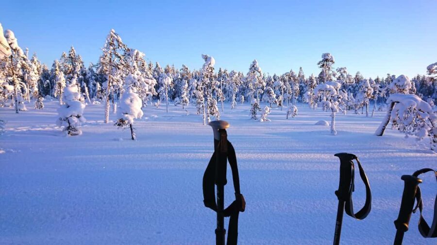 Rovaniemi: Guided Snowshoeing Forest Escape - Review Highlights from Participants