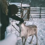 Rovaniemi: Guided Tour At Shaman Village - FAQs