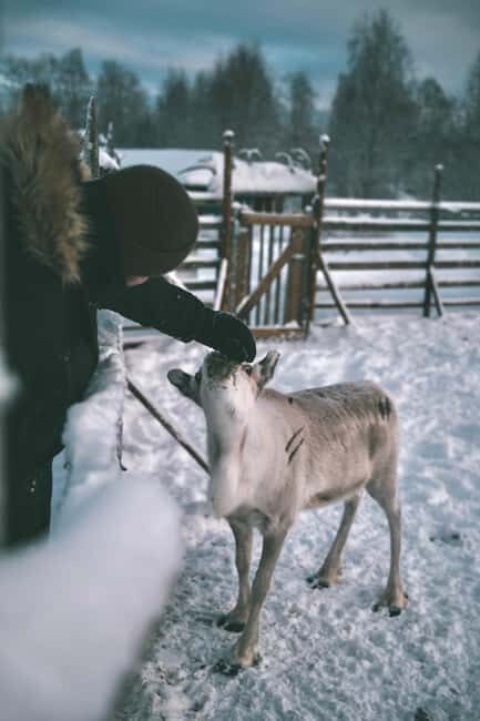 Rovaniemi: Guided Tour At Shaman Village - FAQs