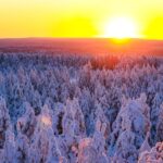 Rovaniemi: Guided Wilderness Snowmobile Ride - What the Reviews Say
