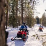 Rovaniemi: Half-Day Snowmobile Tour - A Closer Look at the Experience