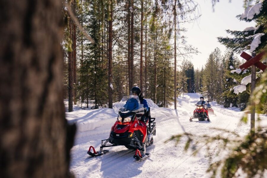 Rovaniemi: Half-Day Snowmobile Tour - A Closer Look at the Experience