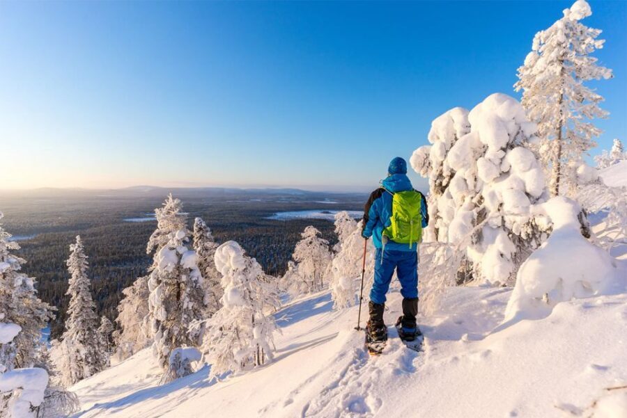 Rovaniemi: Hiking and Snowshoeing Adventure in Lapland - What the Tour Covers — A Step-by-Step Breakdown
