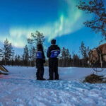 Rovaniemi: Horse Sleigh Ride under the Night Sky - The Practical Side: What to Know Before You Go