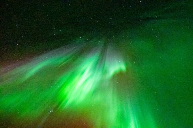 Rovaniemi Hunting Aurora at the Best Spots - Is This Tour Worth It?