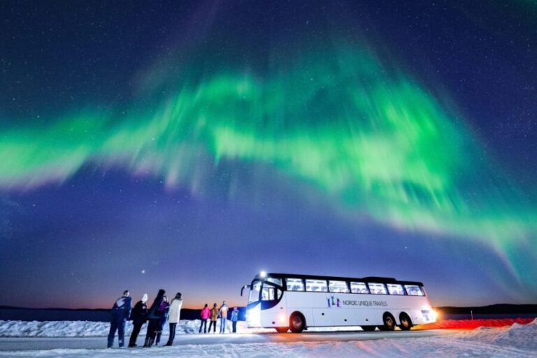 Rovaniemi: Hunting Northern Lights Bus Tour - Who Should Consider This Tour?