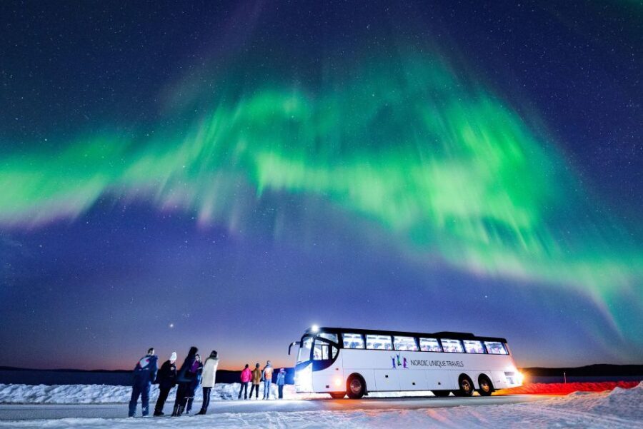 Rovaniemi: Hunting Northern Lights Bus Tour - Who Should Consider This Tour?