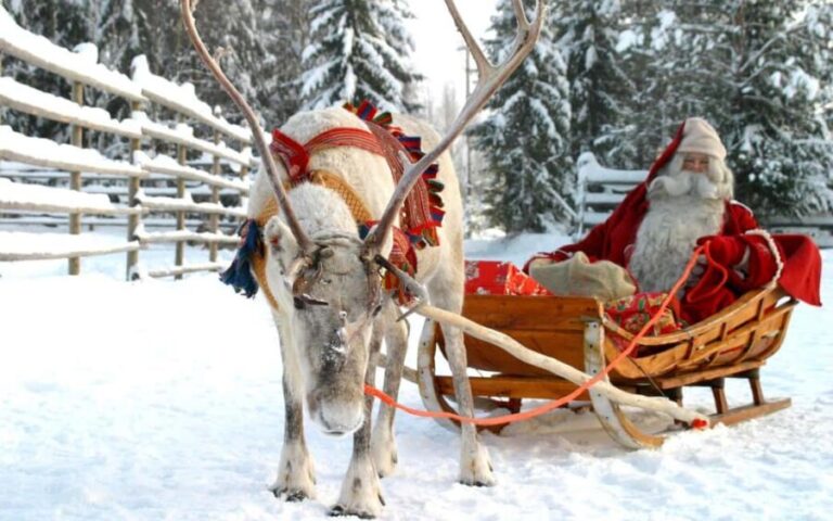 Rovaniemi: Husky and Reindeer Farm Visit with Sled Ride - Visiting the Husky Farm