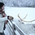 Rovaniemi: Husky and reindeer farm visit with sleigh rides - Common Questions