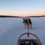 Rovaniemi: Husky Experience and Sled Ride with Pro Photos - The Practical Details