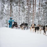 Rovaniemi: Husky Farm and Reindeer Experience - Who Is This Tour Best For?