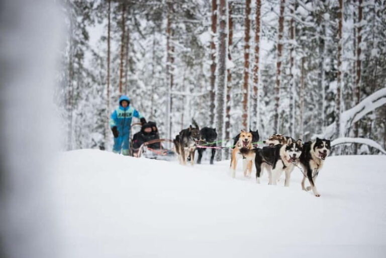 Rovaniemi: Husky Farm and Reindeer Experience - Who Is This Tour Best For?