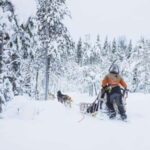 Rovaniemi: Husky & Reindeer Experience with Snowmobile Ride - The Value and Overall Experience