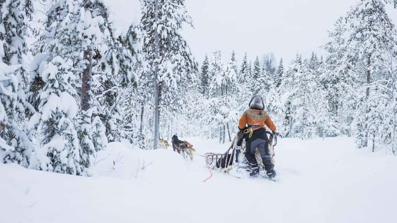 Rovaniemi: Husky & Reindeer Experience with Snowmobile Ride - The Value and Overall Experience