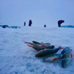 Rovaniemi: Ice Fishing by Snowmobile - Practical Details and Tips