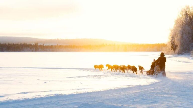 Rovaniemi: Insider 5km Husky Self Drive Tour - The Itinerary Breakdown