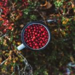 Rovaniemi: Insider Berry and Mushroom Picking & Pancakes - Who Would Love This Tour?