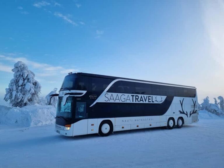 Rovaniemi: Insider Northern Lights Bus with Drinks & Snacks - The Good and the Not-So-Good