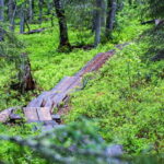 Rovaniemi: Korouoma Canyon and Auttiköngäs Falls Tour - The Practical Side