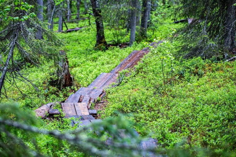 Rovaniemi: Korouoma Canyon and Auttiköngäs Falls Tour - The Practical Side