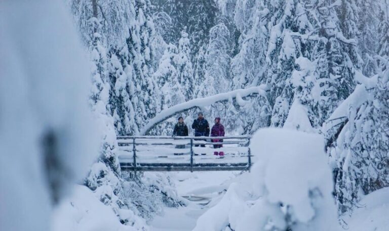 Rovaniemi: Korouoma Canyon Frozen Waterfalls Guided Hike - Who Would Enjoy This Tour?