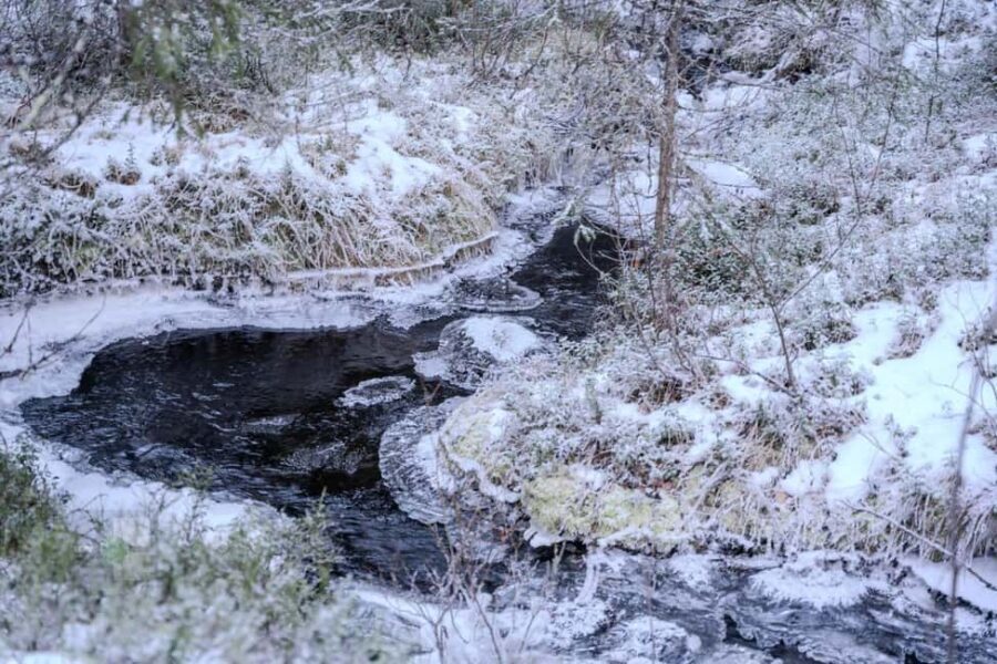 Rovaniemi: Korouoma Canyon Guided Tour with Photos & BBQ