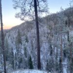 Rovaniemi: Korouoma Wilderness Cafés Icefall Tour and Lunch - What Makes This Tour Stand Out