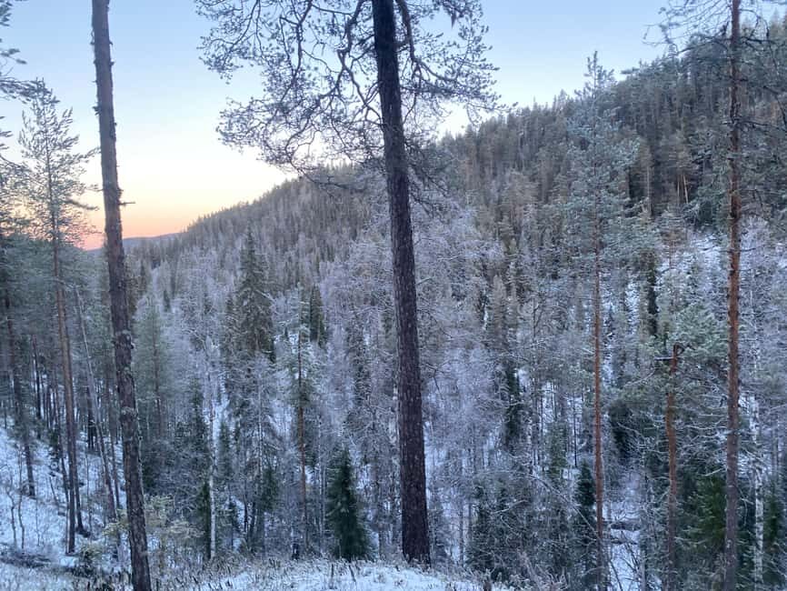 Rovaniemi: Korouoma Wilderness Cafés Icefall Tour and Lunch - What Makes This Tour Stand Out