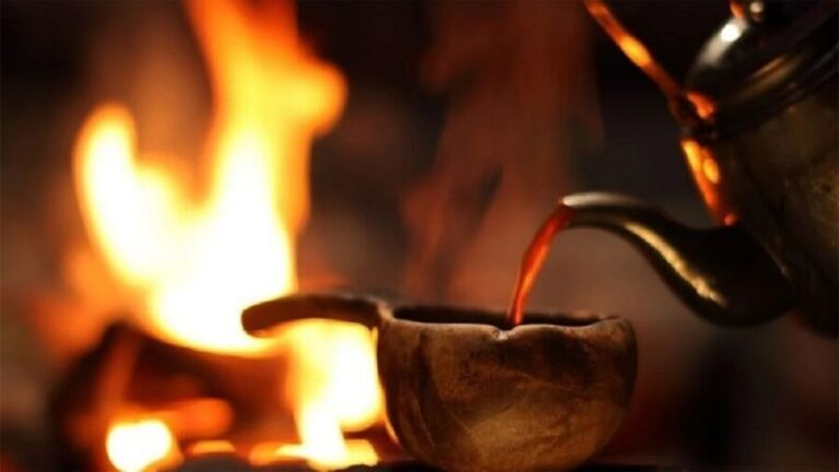 Rovaniemi: Lapland Northern Lights Tour with BBQ - The Experience of the Night