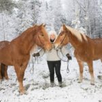 Rovaniemi: Late Night Ride with Finnhorses - Frequently Asked Questions