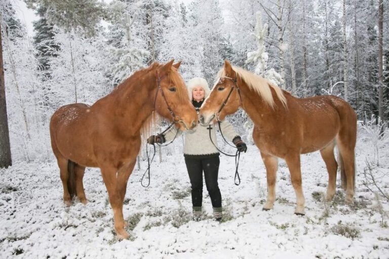 Rovaniemi: Late Night Ride with Finnhorses - Frequently Asked Questions