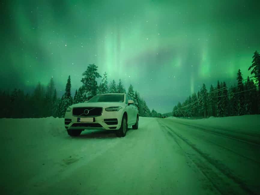 Rovaniemi: Local Guide Guarantee Northern Lights Hunt - Who Should Consider This Tour?