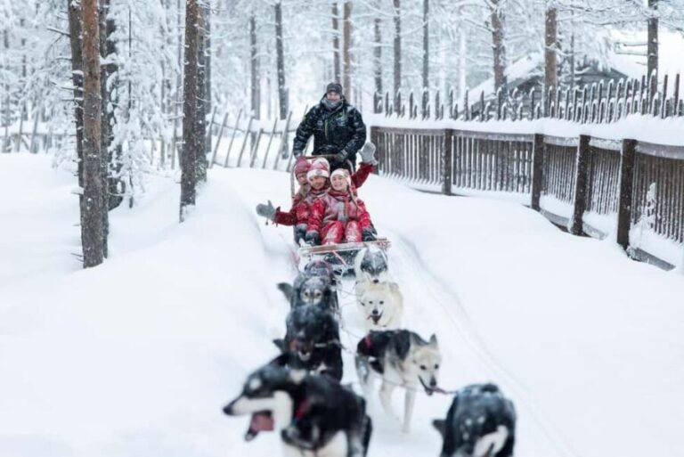 Rovaniemi: Meet Santa's Most Trusted Husky Dogs - Exploring the Husky Farm