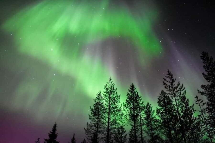 Rovaniemi: New Year's Eve Special Aurora Safari - How Does the Tour Work?