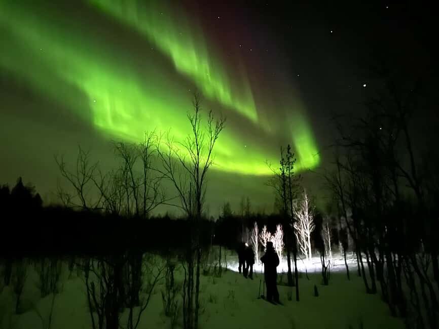 Rovaniemi: Nocturnal Skiing: Experience the Arctic's Magic - The Itinerary in Detail