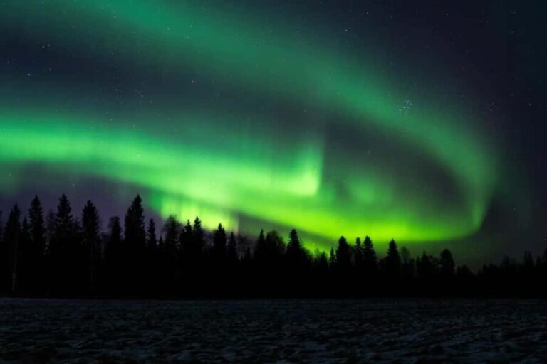 Rovaniemi: Northern Lights Electric Snow-Scooter Tour - Value and Pricing