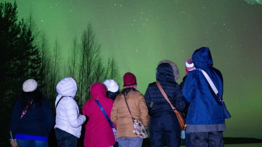 Rovaniemi: Northern Lights Guided Tour with Pro Camera - The Value of This Tour