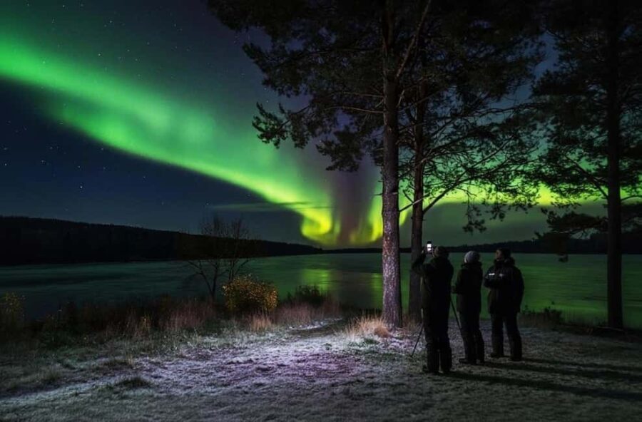 Rovaniemi: Northern Lights Magic Adventure - The Value of This Tour