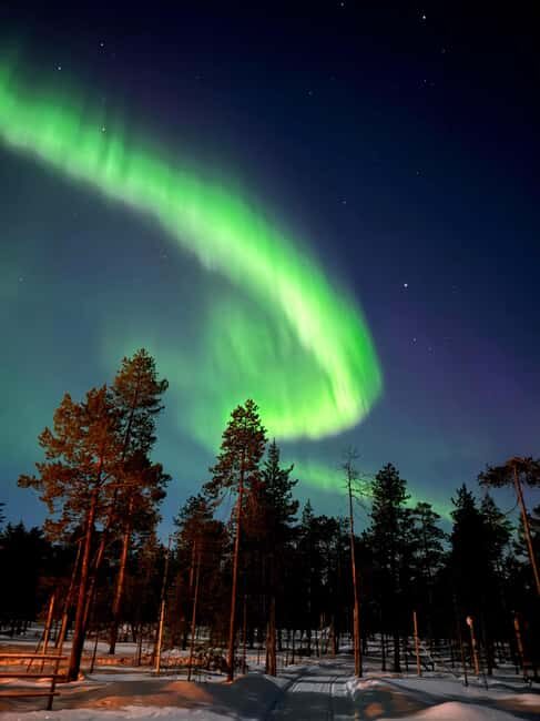 Rovaniemi: Northern Lights & Reindeer Experience - The Reindeer Experience