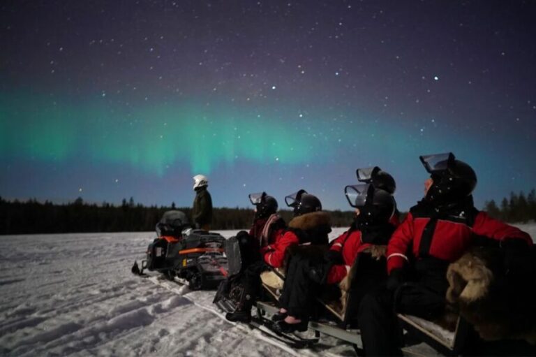 Rovaniemi: Northern Lights Sleigh Ride - The Highlights: What Makes This Tour Stand Out