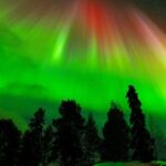 Rovaniemi: Northern Lights Small Group with Guaranteed View - Final Thoughts: Is This Tour Right for You?
