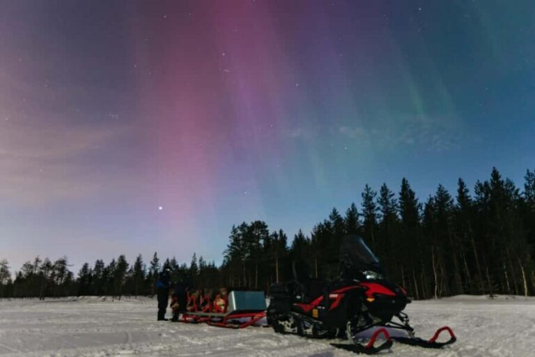 Rovaniemi: Northern Lights Snowmobile Sledge Ride - The Northern Lights: Hope, Not Guarantee