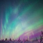Rovaniemi: Northern Lights Snowmobile Tour - What Do the Reviews Say?