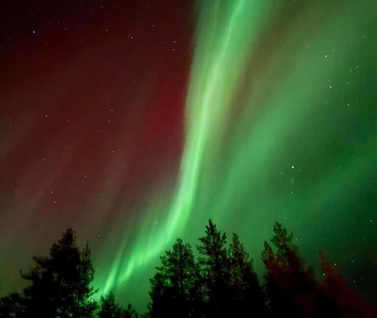 Rovaniemi: Northern Lights Tour - Aurora Viewing Guaranteed - Itinerary Breakdown
