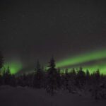 Rovaniemi: Northern Lights Tour with 3-Course Dinner - What to Expect from This Northern Lights Experience