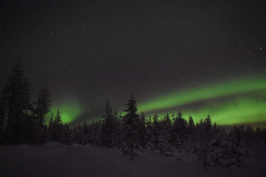 Rovaniemi: Northern Lights Tour with 3-Course Dinner - What to Expect from This Northern Lights Experience