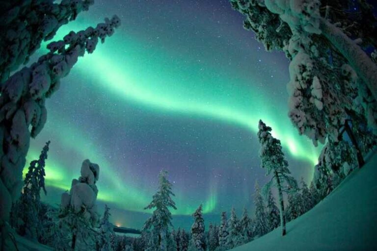 Rovaniemi: Northern Lights Tour with Electric Snowmobiles - The Real Vibe: What Travelers Say